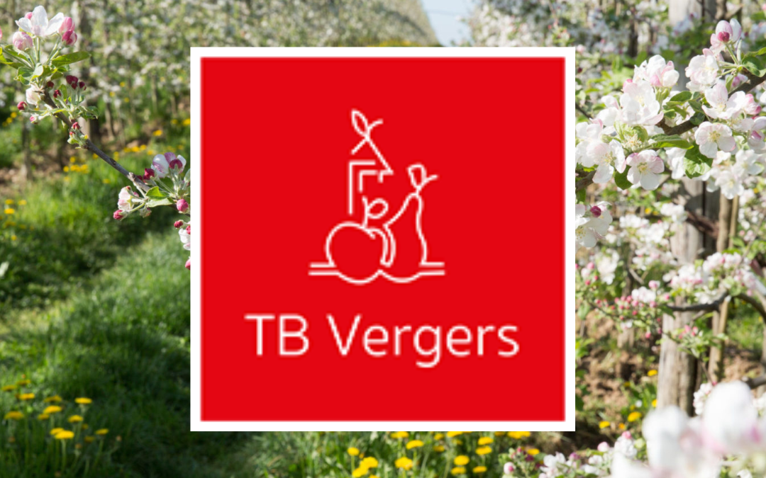 Portrait d’un acteur engagé : TB VERGERS, un réseau de producteurs partenaires dans la région Hauts-de France