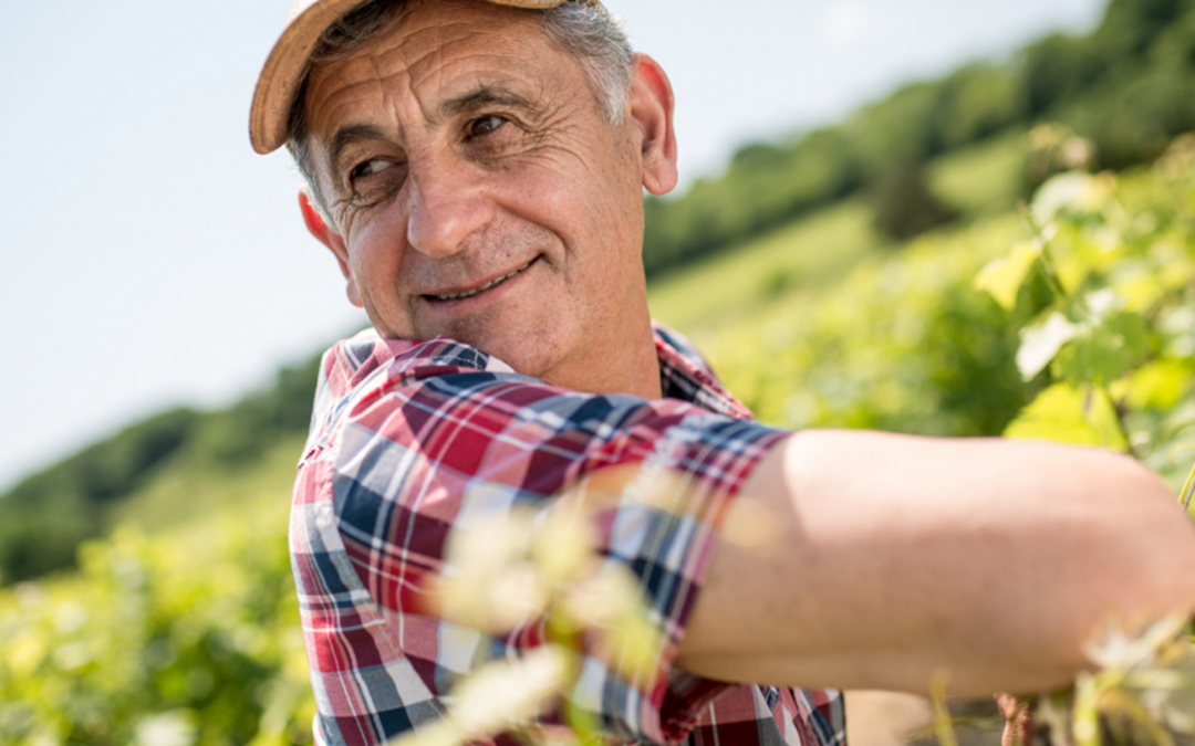 Entretien avec Serge Lhérisson, viticulteur et adhérent à la coopérative des Vignerons de Buzet.