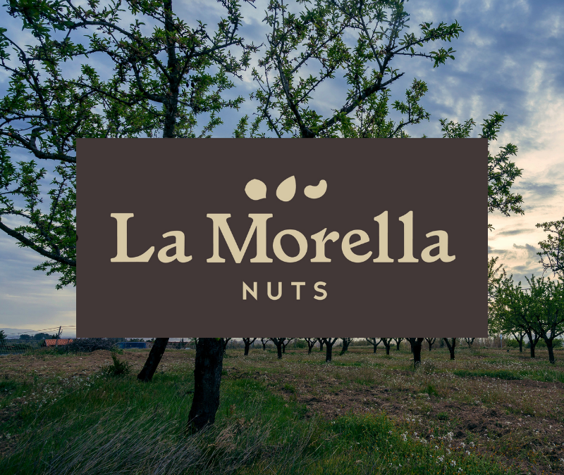 La Morella Nuts, pour des amandes qui respectent les abeilles