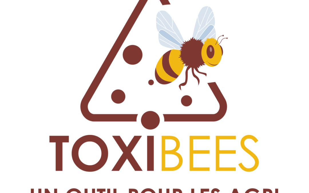 Un outil dédié aux agriculteurs pour les informer sur leurs pratiques phytosanitaires : Toxibees